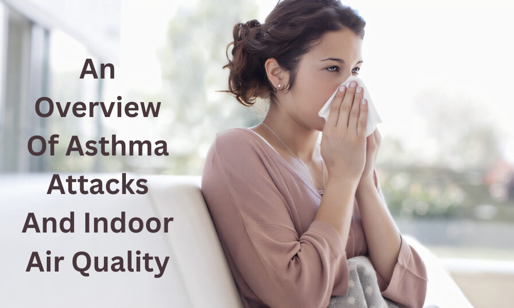 An Overview Of Asthma Attacks And Indoor Air Quality