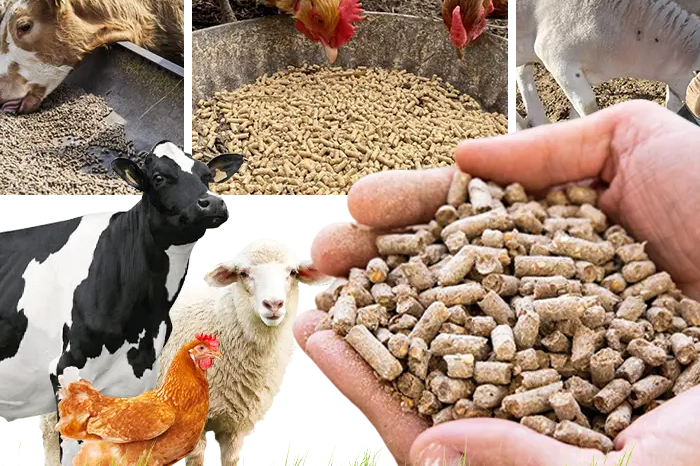 Feed Suppliers Canada