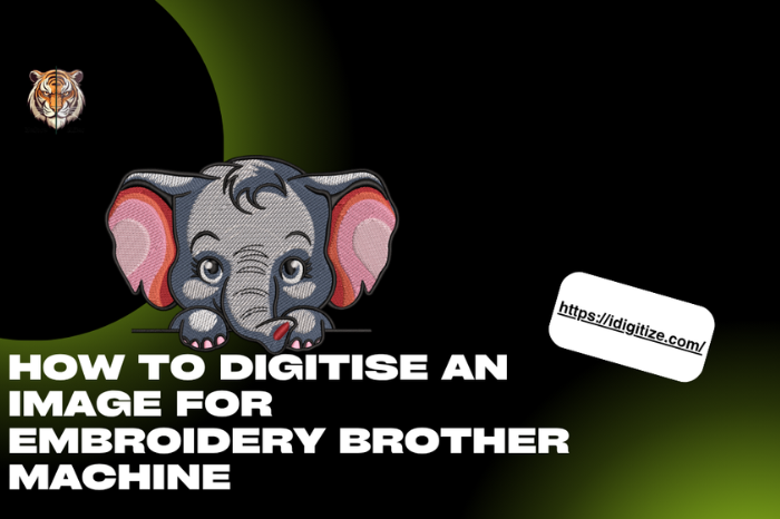 How to Digitise an Image for Embroidery Brother Machinee