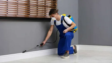 termite control services in Lahore