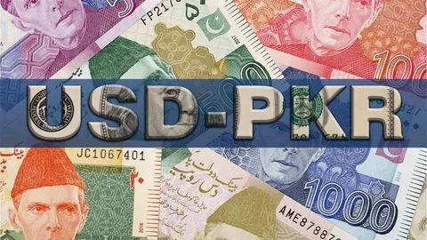 live usd dollar to pkr rate in pakistan