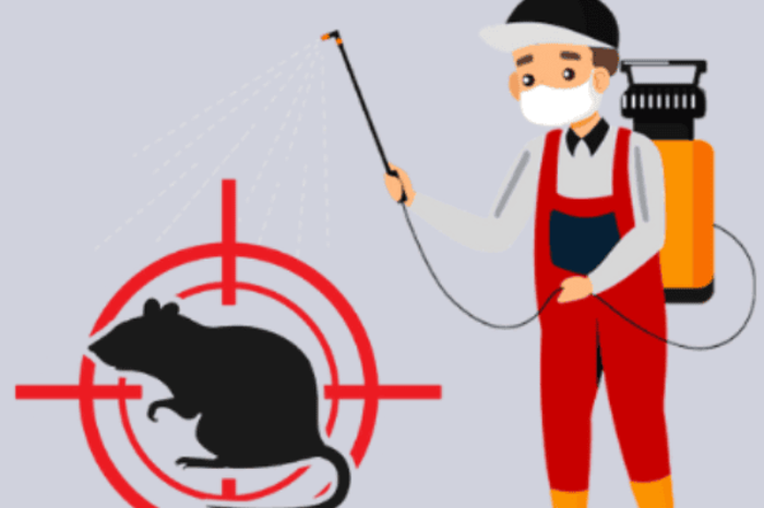 Rat killer in Pakistan