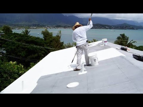 Roof Painting Canyon Lake