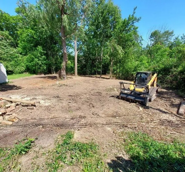 Forestry Services