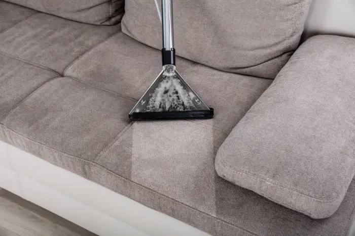 professional couch cleaning services