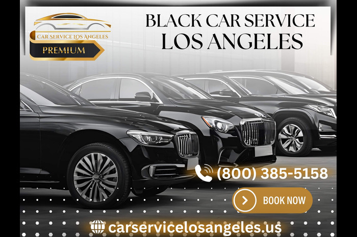 FIFA World Cup Transportation Services
