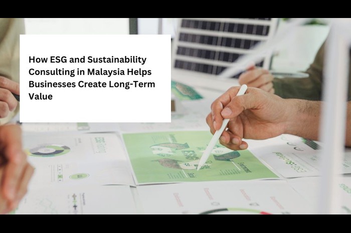 How ESG and Sustainability Consulting in Malaysia Helps Businesses Create Long-Term Value