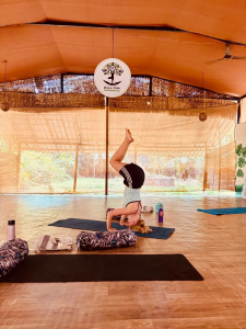 Book Yoga Teacher Training in Goa