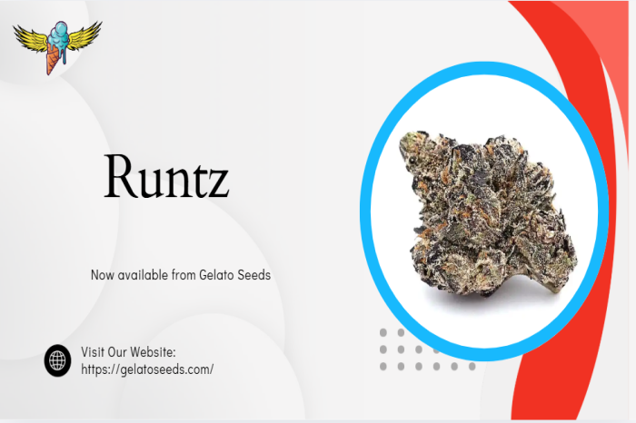 Runtz Seeds