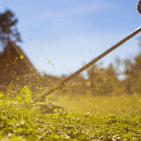 commercial lawn care companies near me