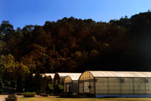 Storage shed in Brisbane
