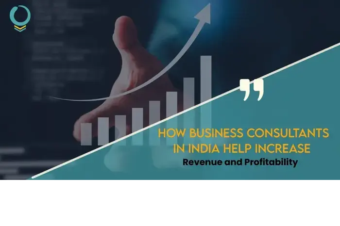 business consultants in india