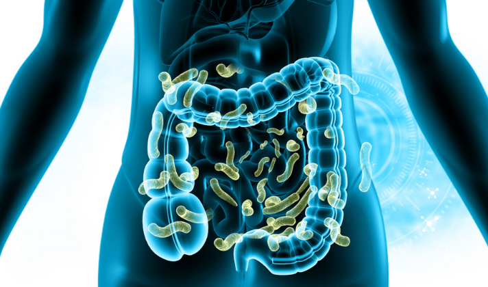 Parasite Cleanse
