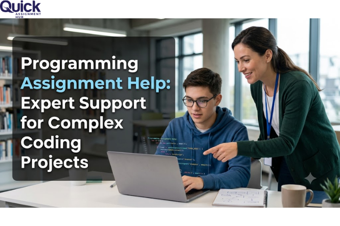 Programming Assignment Help
