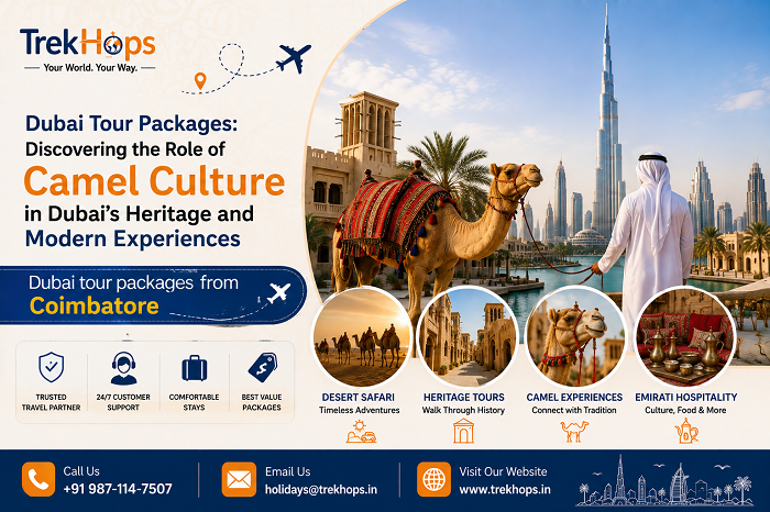 dubai-tour-packages-camel-culture-in-dubai