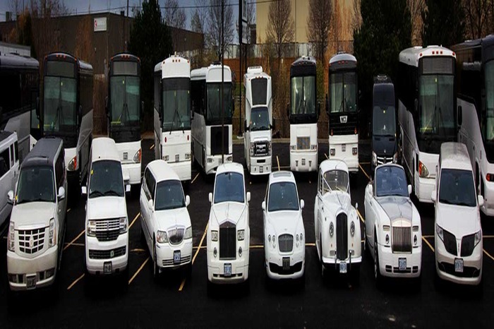 Toronto Limo Party Bus