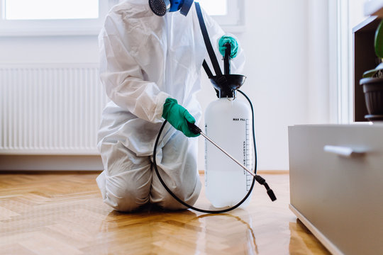 Man spraying pests in a home under a table