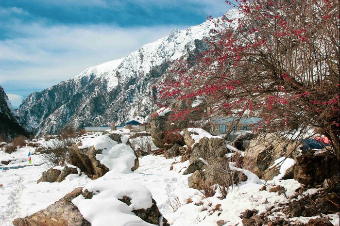 Langtang Valley Trek
