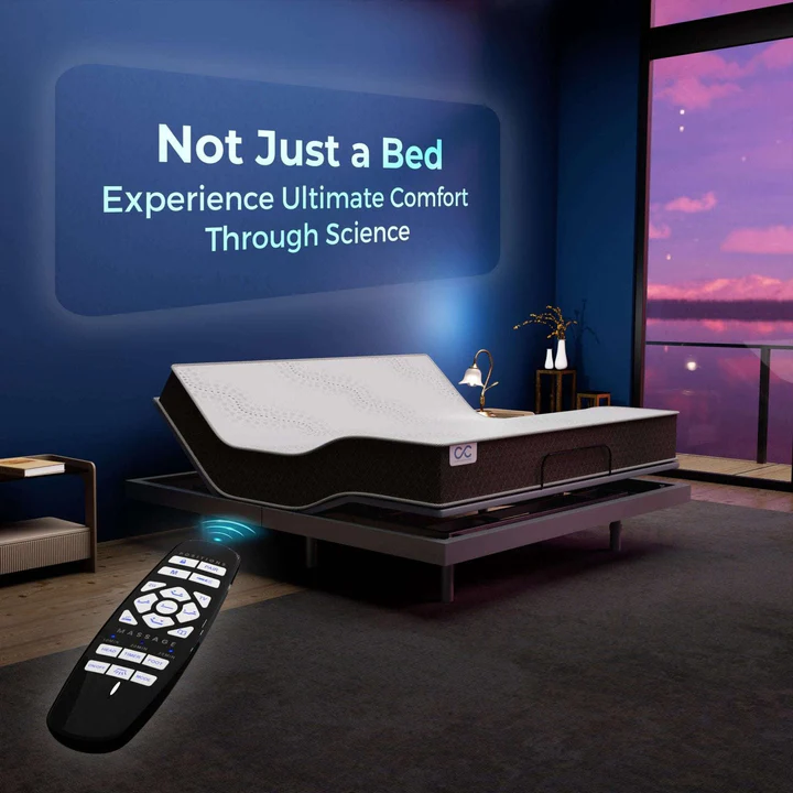 Recliner Bed in Surat