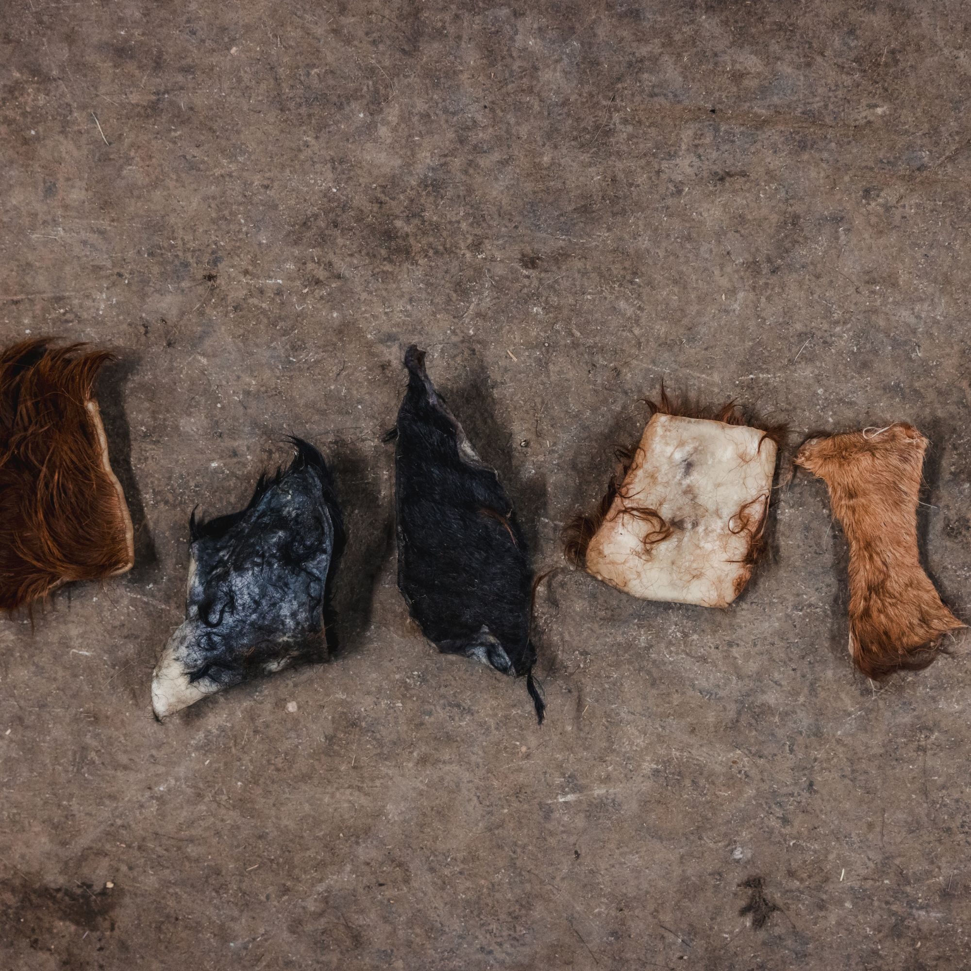 all natural calming chews for dogs