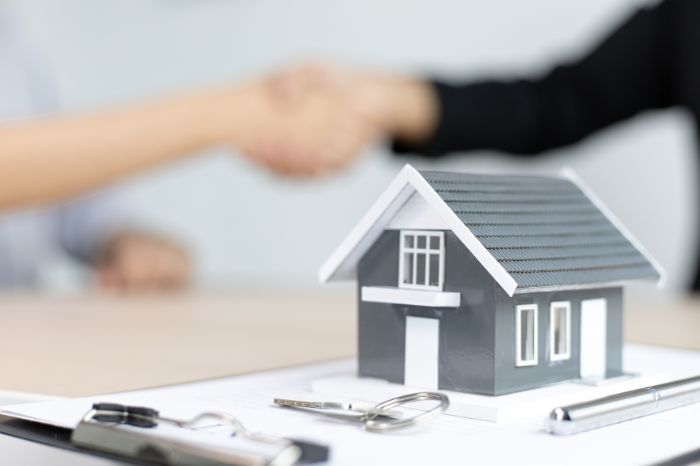 mortgage loan options by expert